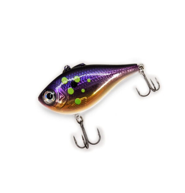 Spaced Invader Custom Rapala Rippin' Rap