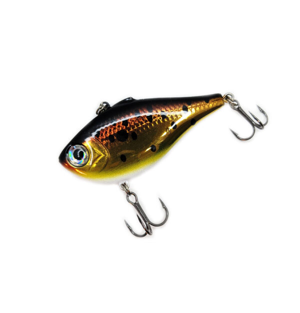 Slow Poke Custom Rapala Rippin' Rap