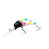 Black Wonderbread Custom WNC Boogie Shad