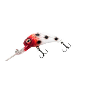 Bloody Nose Custom WNC Boogie Shad