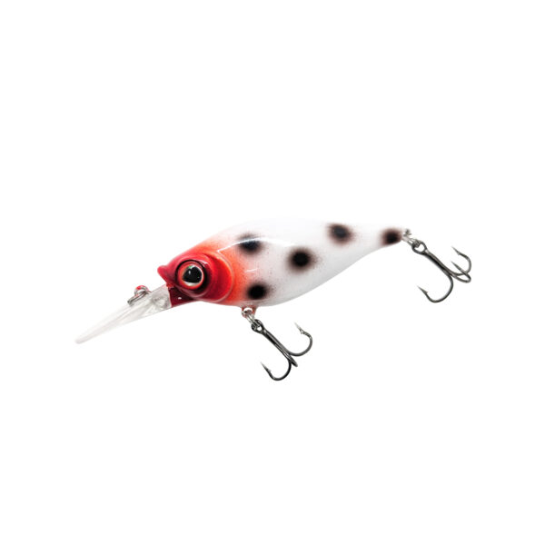 Bloody Nose Custom WNC Shaky Shad