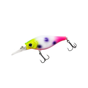 Fruit Loop Custom WNC Shaky Shad