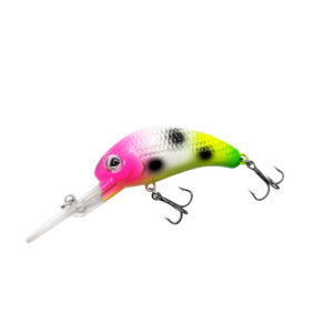 Fruit Salad Custom WNC Boogie Shad