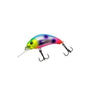 Fruit Loop Custom WNC Boogie Shad