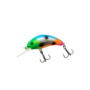 Fruit Medley Custom WNC Boogie Shad