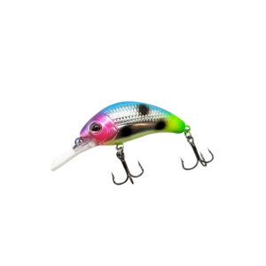 Fruit Salad Custom WNC Boogie Shad