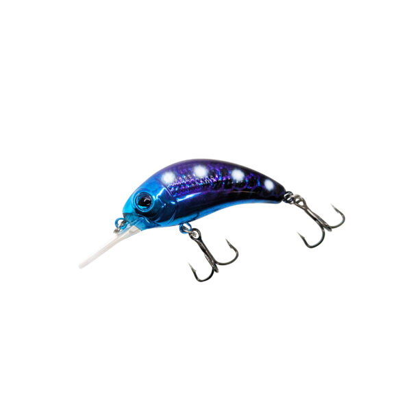 Starry Night Custom WNC Boogie Shad