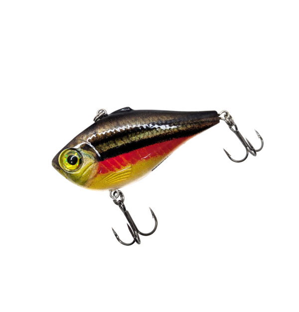 Red Dace Custom Rapala Rippin' Rap