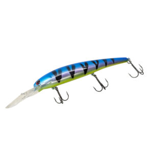 Neon Blue Perch Custom Bandit Walleye Deep